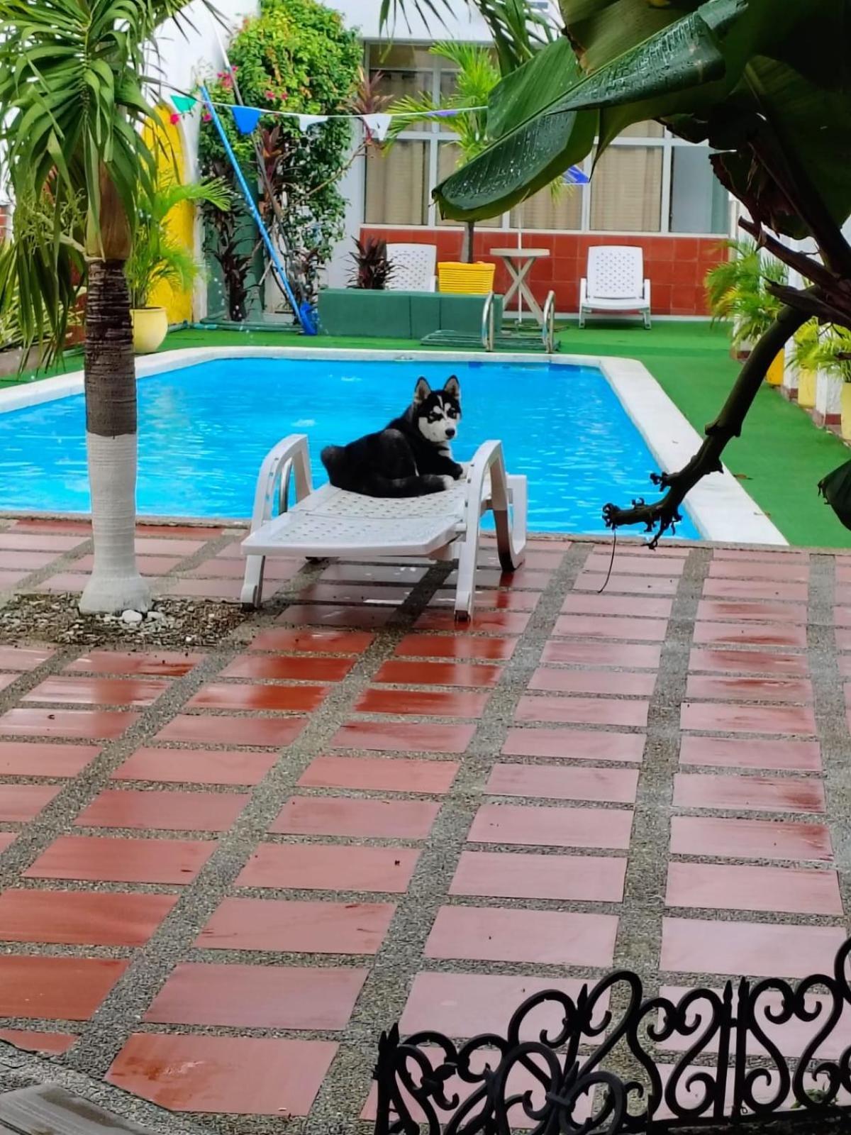 The Chill In Mansion Hostel Santa Marta ภายนอก รูปภาพ
